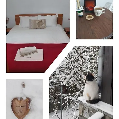 De Inchiriat Cascada Guest house Busteni