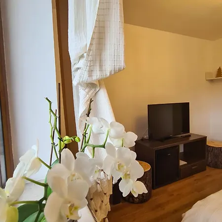 De Inchiriat Cascada Guest house Busteni