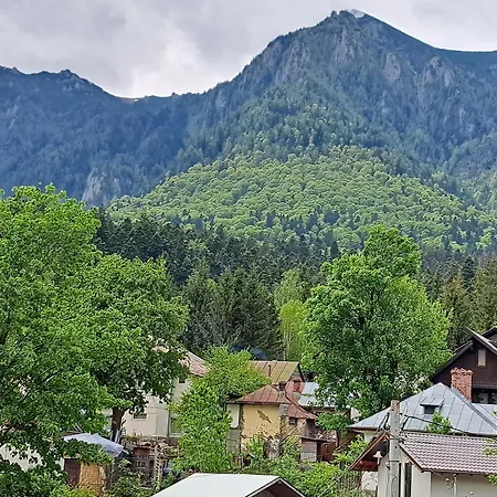 De Inchiriat Cascada Buşteni